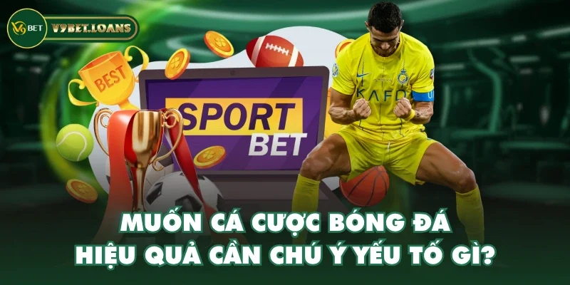 Muốn cá cược bóng đá hiệu quả cần chú ý yếu tố gì?